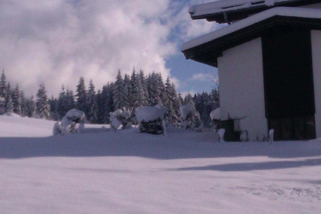 Appartement Seebacher Hochfilzen Exterior photo